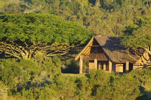 Kragga Kamma Game Park Port Elizabeth Exterior foto