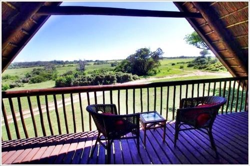 Kragga Kamma Game Park Port Elizabeth Exterior foto