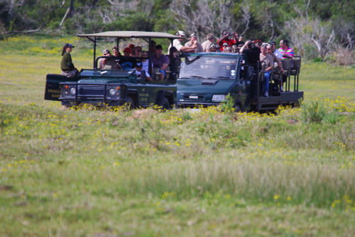 Kragga Kamma Game Park Port Elizabeth Exterior foto