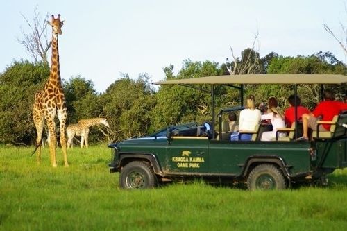 Kragga Kamma Game Park Port Elizabeth Exterior foto