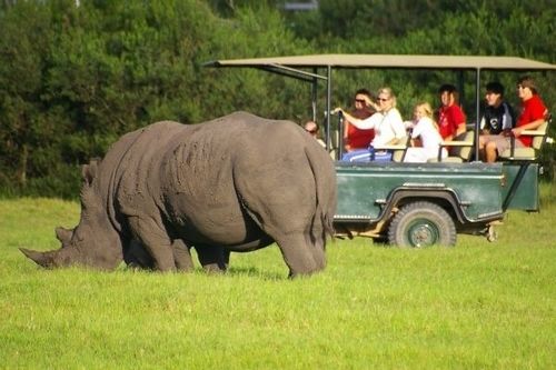 Kragga Kamma Game Park Port Elizabeth Exterior foto