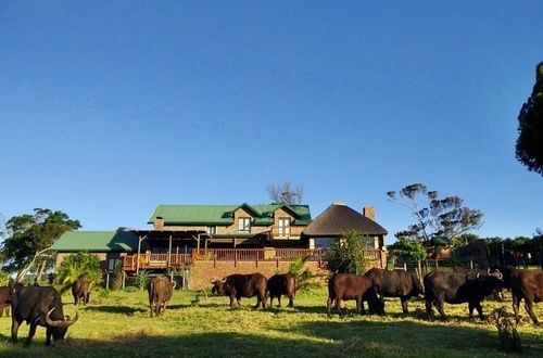 Kragga Kamma Game Park Port Elizabeth Exterior foto