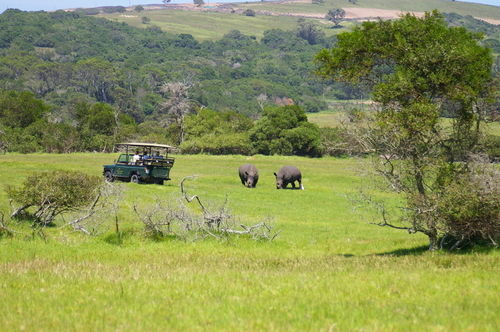 Kragga Kamma Game Park Port Elizabeth Exterior foto